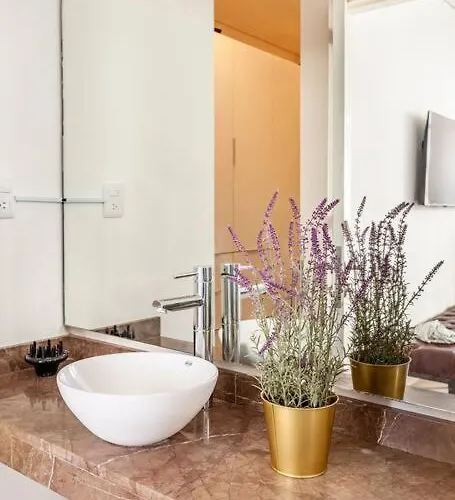 Penthouse, Terraza Privada Y Estacionamiento